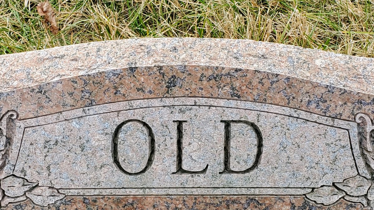 How Old Is Makima in Vinland Saga Unveiled